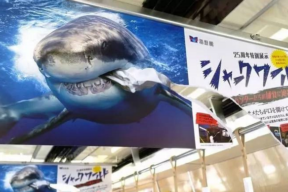這是一張海報的正反面。人們很容易被這個破損的不尋常海報吸引注意力。