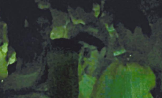 房祖名去年被港媒直擊在中環(huán)夜店與長(zhǎng)發(fā)妞互動(dòng)曖昧，女生正是Nana
