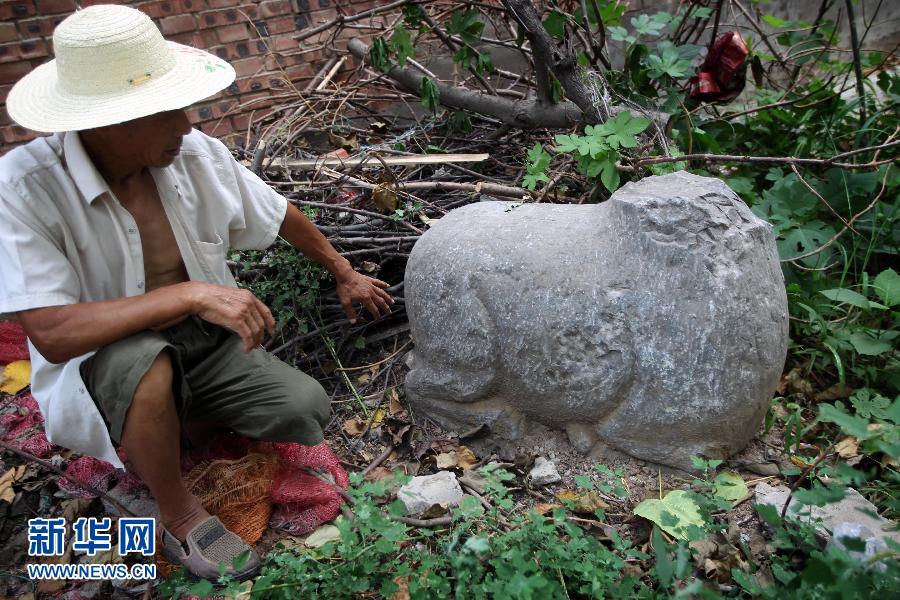 朝陽鎮(zhèn)后李村業(yè)余文保隊員，今年65歲的李連堂在上世紀(jì)平整土地時候，從地里挖出一個石羊殘身，至今仍放在