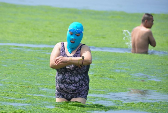 2013年7月3日，山東青島青島高溫來襲，“青島大媽”不懼滸苔，戴著“強(qiáng)盜面具”出現(xiàn)在海水浴場消暑降