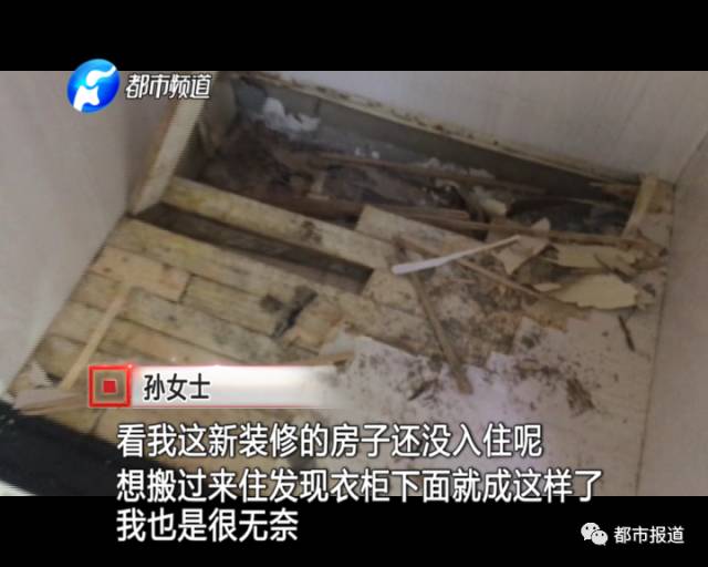 蟻?zhàn)宕筌娙肭?！十幾萬裝修的新家被“吃掉”