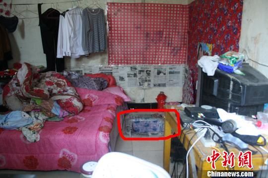圖上紅圈內(nèi)為嫌犯所挖地窖入口。 吳佳蔚 攝