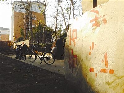 昨日，“上海奇石盆景博物館”原址上，已矗立起小區(qū)樓盤，而刻著博物館名的巨石，廢棄在一旁。本版圖片/新京報(bào)記者 張永生 攝