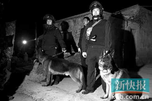 緝毒犬協(xié)助警方搜查毒品。