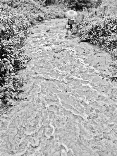 梅子回家的山道，晴天是路，雨天是河
