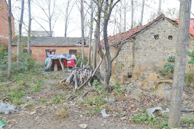 石二群在農(nóng)村老家的院子雜草叢生 石二群在農(nóng)村老家的院子雜草叢生