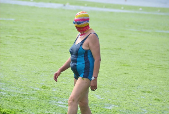 2013年7月3日，山東青島青島高溫來襲，“青島大媽”不懼滸苔，戴著“強盜面具”出現在海水浴場消暑降