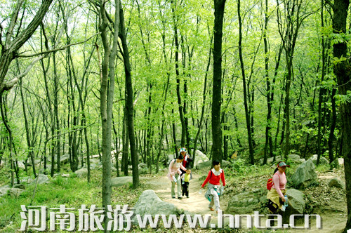 美酒晚會比賽一個都不少 四月到金頂山景區(qū)樂翻天 美酒晚會比賽一個都不少 四月到金頂山景區(qū)樂翻天