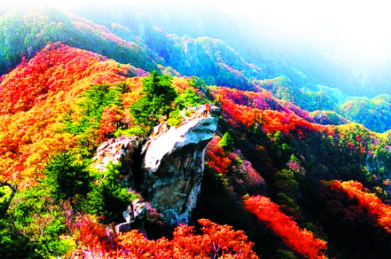 中秋賞月祈福獻孝心 父母免費游堯山 中秋賞月祈福獻孝心 父母免費游堯山