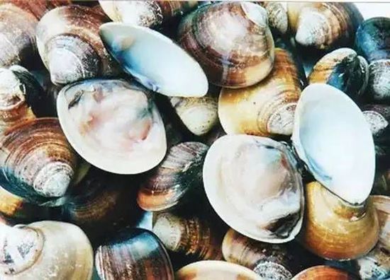 秋季最適合吃的海鮮是這10種 你吃對(duì)了嗎？