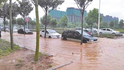 昨日，信陽突降暴雨，路面積水已淹沒輪胎。首席記者 何正權(quán) 通訊員 楊小燕 攝影