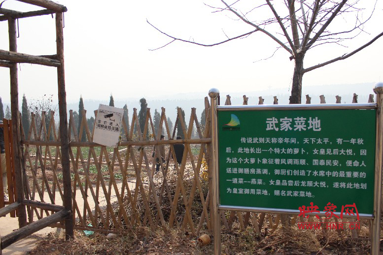武家菜地就是這，據(jù)說里面有個(gè)特大的蘿卜