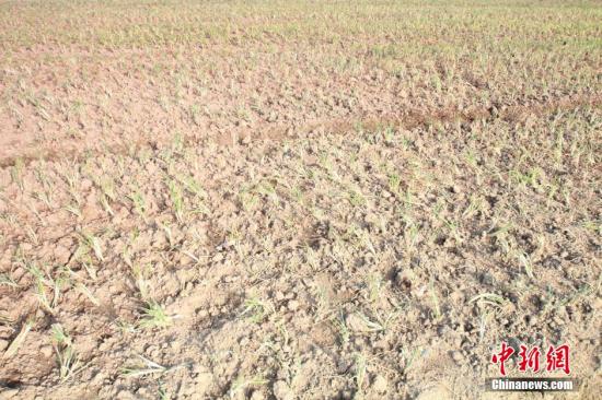 2014年7月31日早晨，浙江紹興市區(qū)蔬菜批發(fā)市場旁邊的土地已經(jīng)發(fā)生開裂。