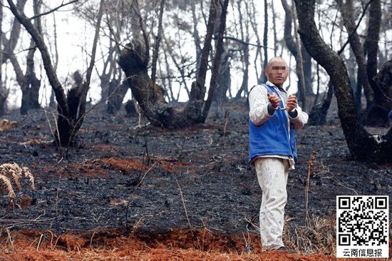 山林被燒得滿目瘡痍。
