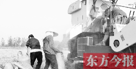 李正厚的妻子鮑本華（右）和一位村民拎著麻袋來到收割機前，接住傾倒出來的麥粒