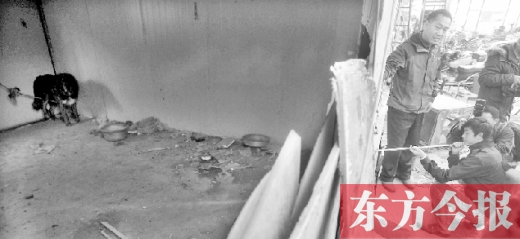 12月4日，鄭州市未來路與隴海路交叉口西側(cè)，執(zhí)法人員用吹管麻醉針對付一只藏獒