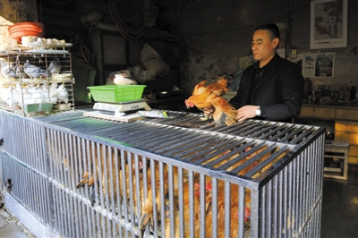 南京另一家農(nóng)貿(mào)市場內(nèi)待售的活雞。因南京出現(xiàn)H7N9禽流病例，買活雞的顧客減少。