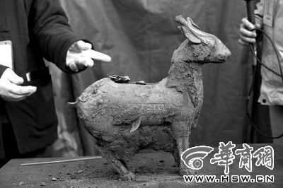 一件似羊似鹿的犧尊華麗亮相，可愛的造型“萌翻”現(xiàn)場(chǎng)。
