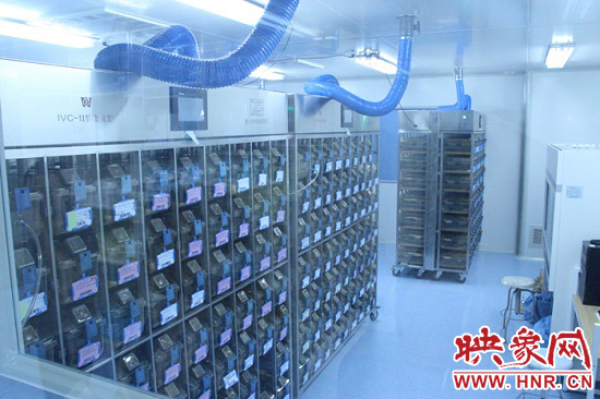 “鼠村”里每一個(gè)籠子是一家。“村”里住著1萬(wàn)只左右的小鼠