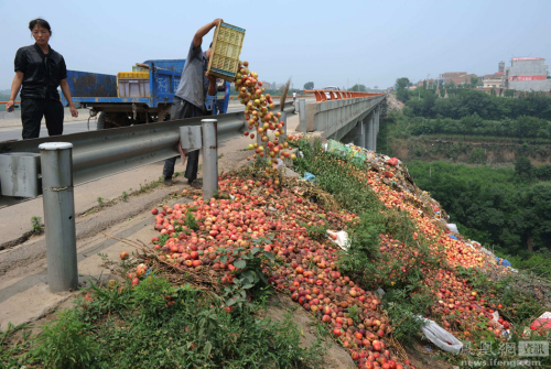 陜西：果農(nóng)將滯銷(xiāo)桃倒進(jìn)河道