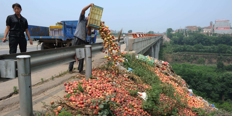 陜西：果農(nóng)將滯銷(xiāo)桃倒進(jìn)河道