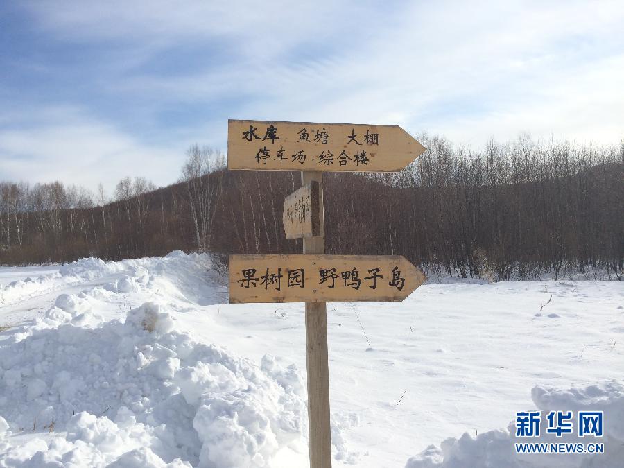 穗豐園里的標(biāo)識(shí)牌（2013年12月8日攝）。新華社記者王子辰攝