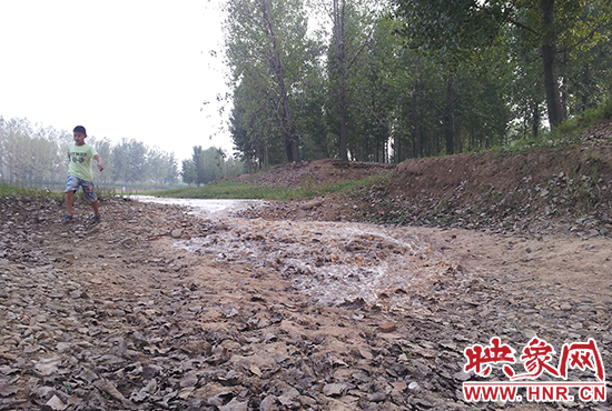 18日丹江水沿澎河流向白龜山水庫(kù)，孩子歡騰起來(lái)，跟著水頭奔跑。