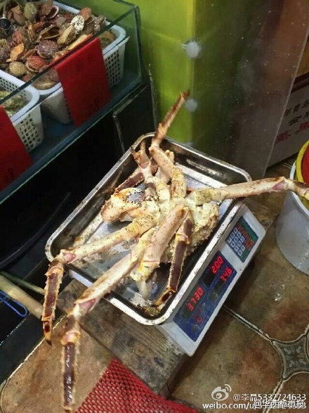 網(wǎng)友提供圖片。