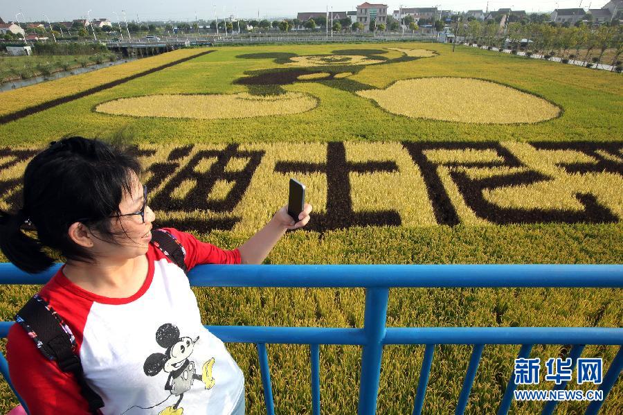 10月25日，游客在觀景臺上觀賞“米老鼠”稻田畫。