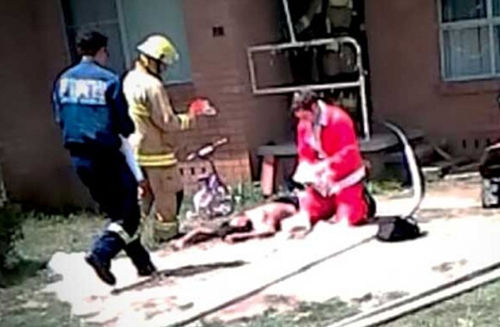 上天下地入火海 奇葩圣誕老人送禮物真是拼了(組圖) 上天下地入火海 奇葩圣誕老人送禮物真是拼了(組圖)