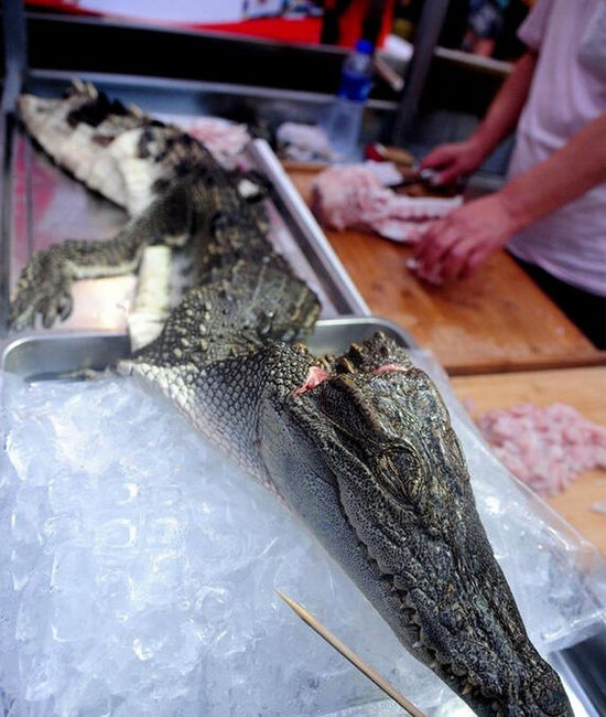 沈陽現(xiàn)“烤鱷魚肉”20元一串現(xiàn)烤現(xiàn)賣(圖) 沈陽現(xiàn)“烤鱷魚肉”20元一串現(xiàn)烤現(xiàn)賣(圖)