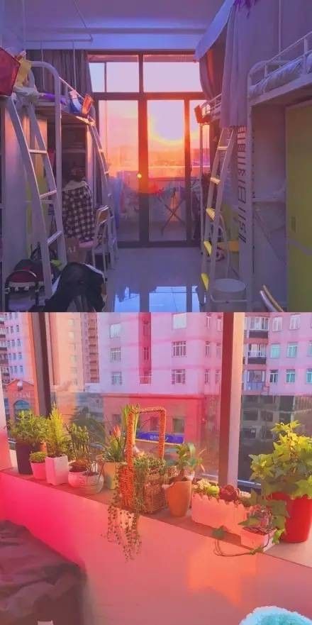 這個學校的男生宿舍火了！女同學都喊著要嫁