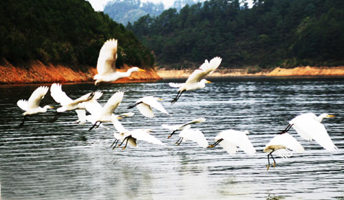 考完去哪兒？千島湖中、高考生門票大優(yōu)惠！