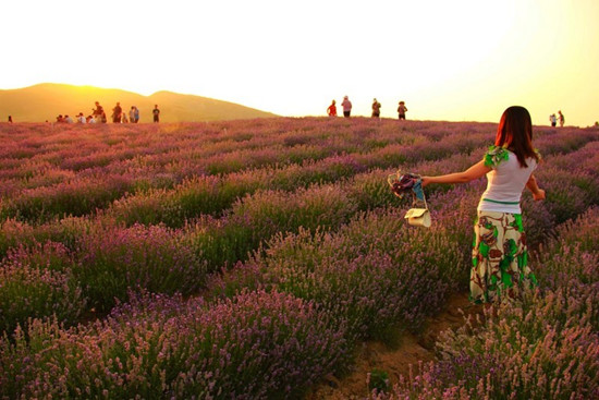 嵖岈山傾情打造中秋節(jié)休閑度假全體驗(yàn) 嵖岈山傾情打造中秋節(jié)休閑度假全體驗(yàn)