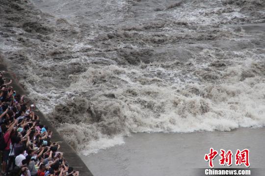 近4年最大八月十八錢江潮如約而至13.8萬(wàn)游客爭(zhēng)睹 近4年最大八月十八錢江潮如約而至13.8萬(wàn)游客爭(zhēng)睹