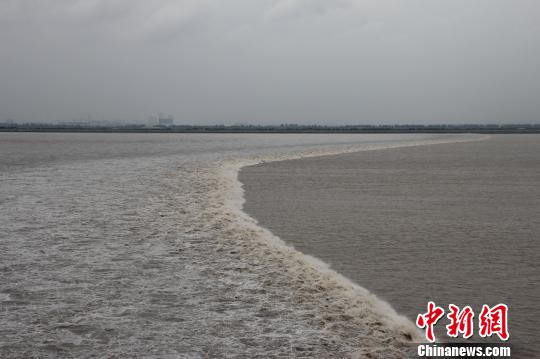 近四年來(lái)最大的農(nóng)歷八月十八錢塘潮如約而至抵達(dá)浙江省海寧鹽官 近四年來(lái)最大的農(nóng)歷八月十八錢塘潮如約而至抵達(dá)浙江省海寧鹽官