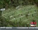 “垃圾場”拍婚紗：玩噱頭還是做環(huán)保？