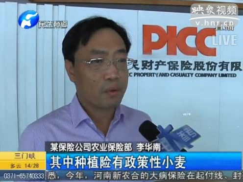冰雹惹禍 損失能索賠嗎？