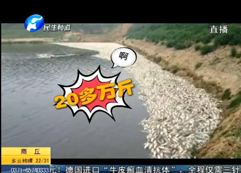 20萬斤魚翻肚因缺氧？