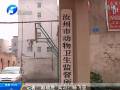 汝州2000只雞突然死亡