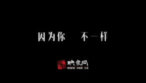 因?yàn)槟?，不一樣：和一億河南人談?wù)? title=