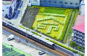 日本2005年列車事故現(xiàn)場附近的一塊農(nóng)田里勾勒出一個“命”字，以警世人。
